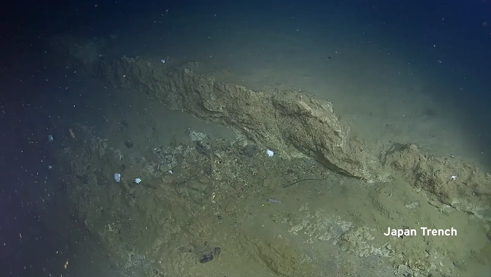 DeepSea Power & Light HD Multi SeaCam — 3